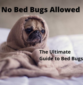 Bed Bugs: The Ultimate Guide