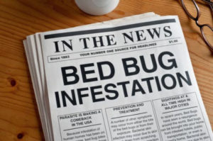 WHERE DO BED BUGS COME FROM?