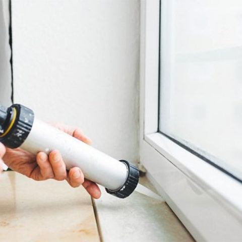 Arizona Pest & Termite Experts Since 1960 | Sexton Pest Control