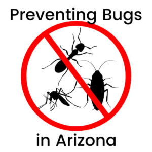 Preventing Bugs in Arizona