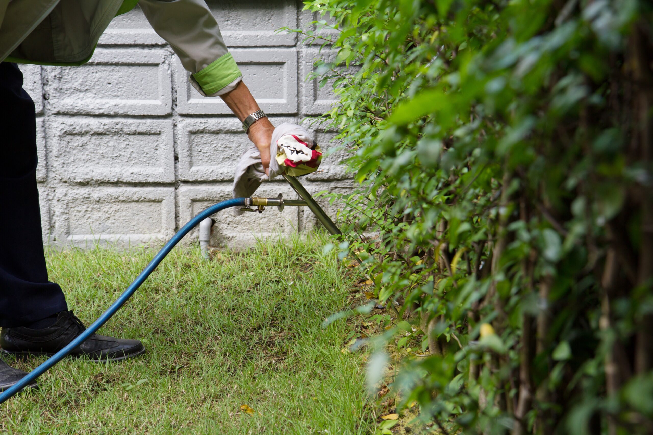 Commercial Pest Control Commercial Pest Control