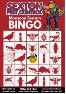 Arizona Monsoon Season Is Here: What is Showing Up on Your Pest Bingo Card?